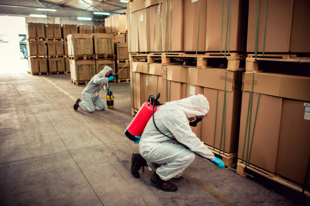 Best Ant Control Services  in Marshallton, PA
