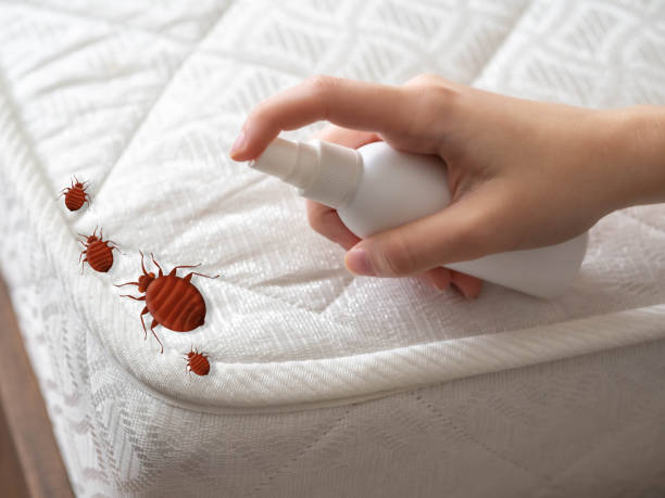 Professional Pest Control in Marshallton, PA